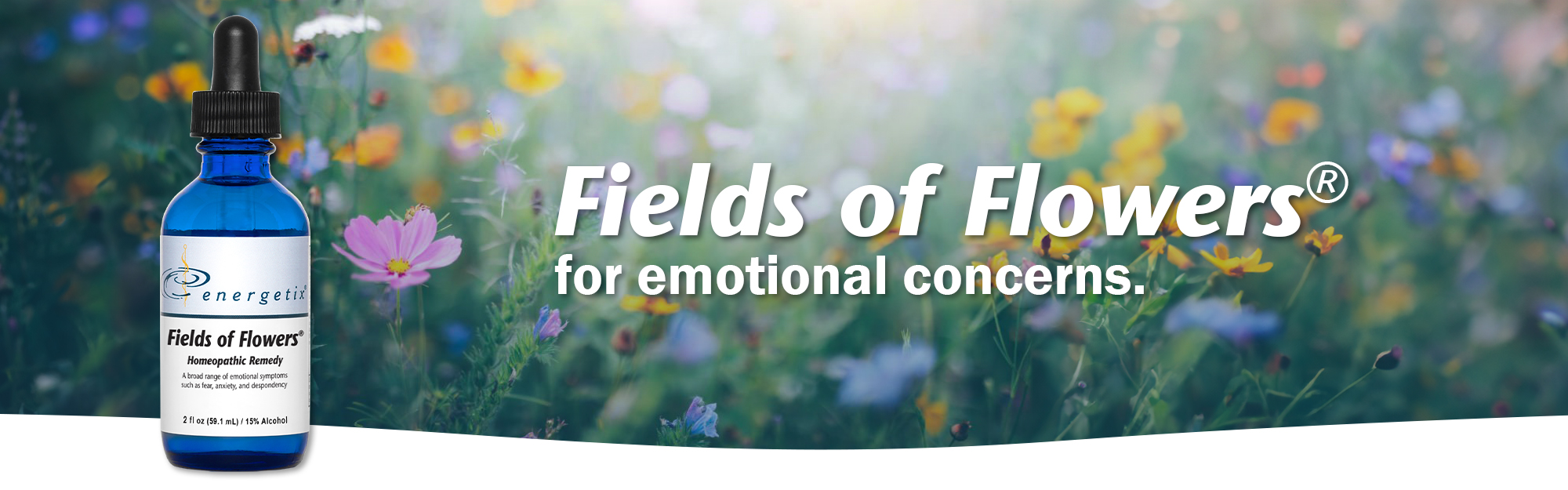 Fields of Flowers Header